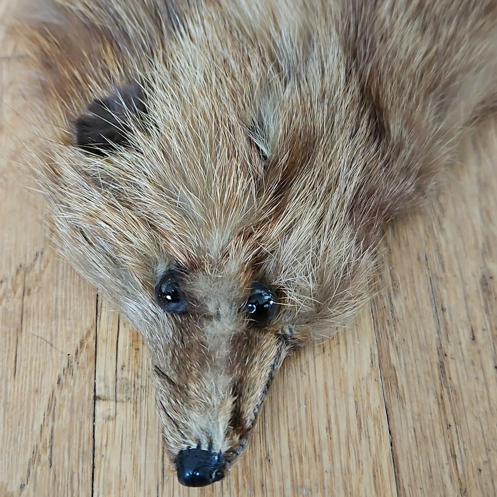 Vintage Fox Fur Collar With Mink Face